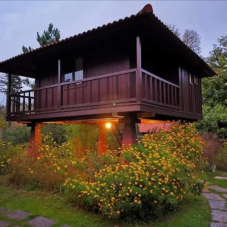 Nature - Santo Da Serra *