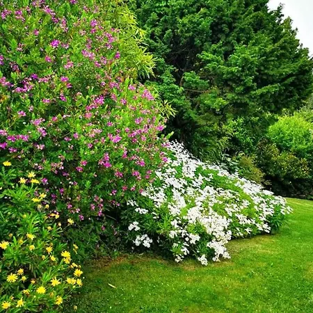 Nature - Santo Da Serra Campeggio