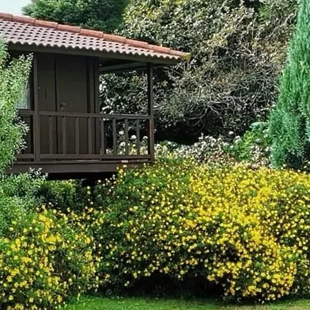 Nature - Santo Da Serra Santo Antonio da Serra