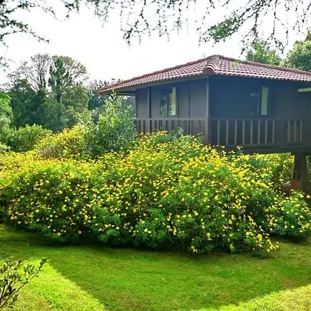 Nature - Santo Da Serra