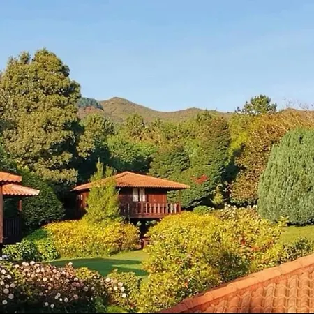 Nature - Santo Da Serra Santo Antonio da Serra