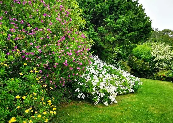 Nature - Santo Da Serra Campeggio