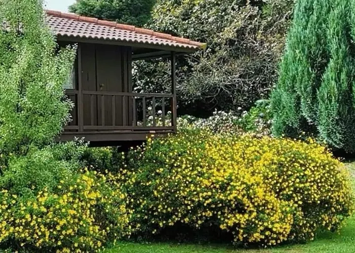 Nature - Santo Da Serra Santo Antonio da Serra