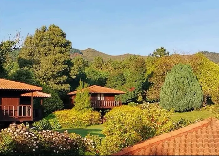 Nature - Santo Da Serra Santo Antonio da Serra