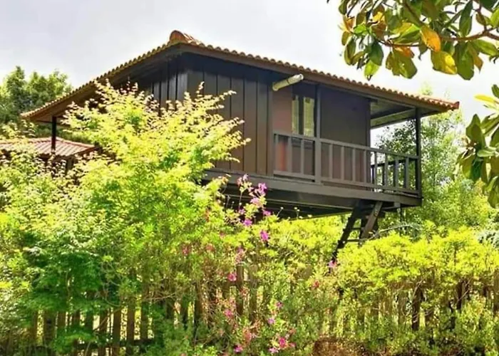 Campeggio Nature - Santo Da Serra *