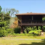 Nature - Santo Da Serra Campsite