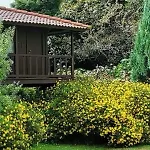 Nature - Santo Da Serra Santo Antonio da Serra