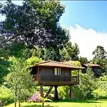 Nature - Santo Da Serra Campsite Santo Antonio da Serra