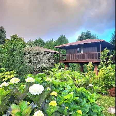 Nature - Santo Da Serra * Santo Antonio da Serra