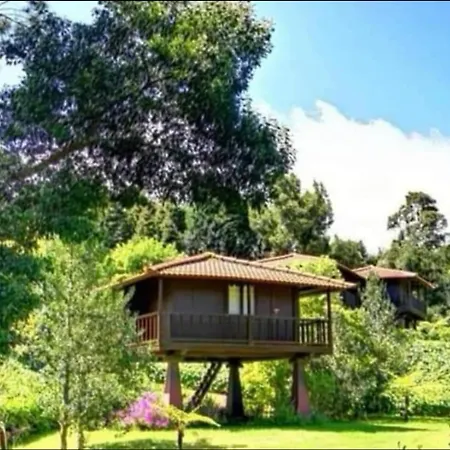 Nature - Santo Da Serra Campsite Santo Antonio da Serra