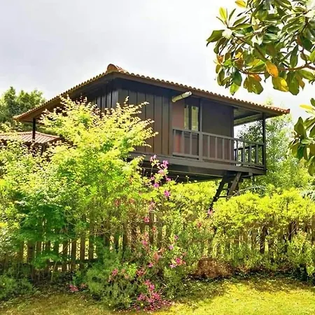 Campsite Nature - Santo Da Serra *