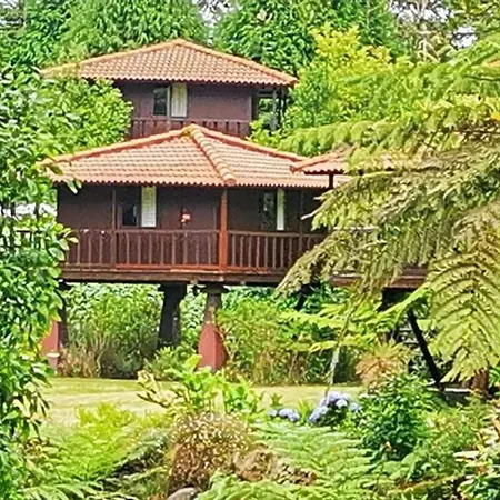 Nature - Santo Da Serra Campsite *