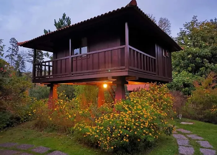 Nature - Santo Da Serra *