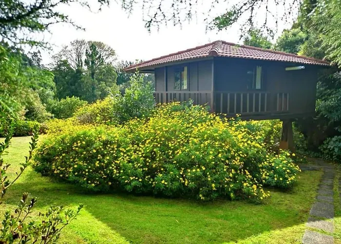 Nature - Santo Da Serra