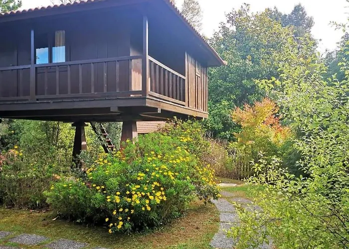 Nature - Santo Da Serra Camping *