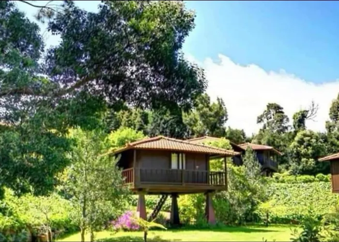 Nature - Santo Da Serra Camping Santo Antonio da Serra