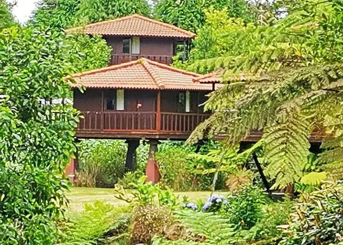 Nature - Santo Da Serra Camping *